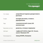 Калибрахоа Calipetite White (0,1л) — что приедет