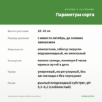Калибрахоа Calipetite White (срезы/5шт) — параметры сорта
