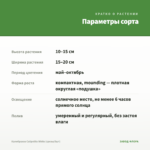 Калибрахоа Calipetite White (срезы/5шт) — параметры сорта