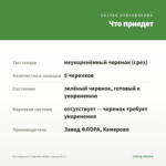 Калибрахоа Calipetite White (срезы/5шт) — что приедет