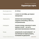 Калибрахоа Calipetite Yellow (0,1л) — параметры сорта