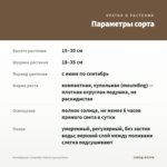 Калибрахоа Calipetite Yellow (срезы/5шт) — параметры сорта