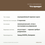 Калибрахоа Calipetite Yellow (срезы/5шт) — что приедет