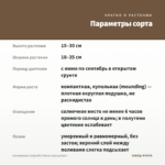 Калибрахоа Calipetite Yellow (срезы/5шт) — параметры сорта