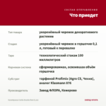 Калибрахоа Calita Double Red (0,1л) — что приедет