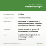КАЛИБРАХОА CALITA DOUBLE RED VEIN (0,1л) — параметры сорта