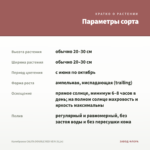 Калибрахоа CALITA DOUBLE RED VEIN (0,1л) — параметры сорта