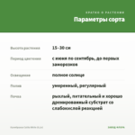 Калибрахоа Calita White (0,1л) — параметры сорта