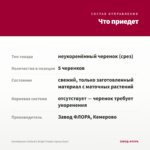 Калибрахоа Calitastic Bright Purple (срезы/5шт) — что приедет