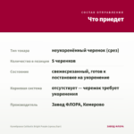 Калибрахоа Calitastic Bright Purple (срезы/5шт) — что приедет