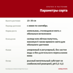 Калибрахоа Calitastic Bright Red (0,1л) — параметры сорта