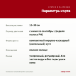 Калибрахоа Calitastic Bright Red (срезы/5шт) — параметры сорта