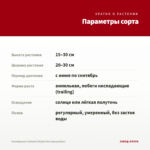 Калибрахоа Calitastic Bright Red (срезы/5шт) — параметры сорта