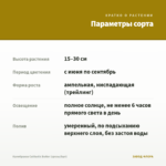 Калибрахоа Calitastic Butter (срезы/5шт) — параметры сорта