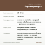 Калибрахоа Calitastic Cappuccino (срезы/5шт) — параметры сорта