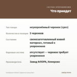 Калибрахоа Calitastic Cappuccino (срезы/5шт) — что приедет
