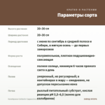 Калибрахоа Calitastic Cappuccino (срезы/5шт) — параметры сорта