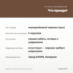 Калибрахоа Calitastic Cappuccino (срезы/5шт) — что приедет