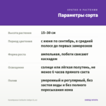 Калибрахоа Calitastic Indigo (0,1л) — параметры сорта