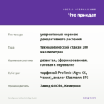 Калибрахоа Calitastic Indigo (0,1л) — что приедет