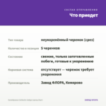 Калибрахоа Calitastic Indigo (срезы/5шт) — что приедет