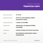 Калибрахоа Calitastic Indigo (срезы/5шт) — параметры сорта