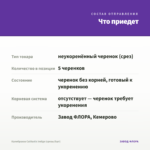 Калибрахоа Calitastic Indigo (срезы/5шт) — что приедет