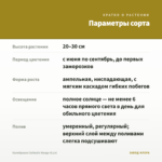 Калибрахоа Calitastic Mango (0,1л) — параметры сорта