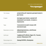Калибрахоа Calitastic Mango (0,1л) — что приедет