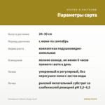 Калибрахоа Calitastic Mango (0,1л) — параметры сорта
