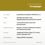 Калибрахоа Calitastic Mango (0,1л) — что приедет