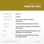 Калибрахоа Calitastic Mango (срезы/5шт) — параметры сорта