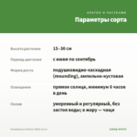 Калибрахоа Calitastic White (0,1л) — параметры сорта