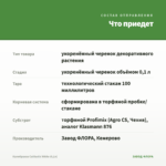 Калибрахоа Calitastic White (0,1л) — что приедет