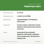 Калибрахоа Calitastic White (срезы/5шт) — параметры сорта