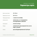 Калибрахоа Calitastic White (срезы/5шт) — параметры сорта