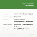 Калибрахоа Calitastic White (срезы/5шт) — что приедет