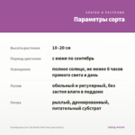 Калибрахоа Can-Can Rosies Pink Vein (срезы/5шт) — параметры сорта