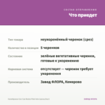 Калибрахоа Can-Can Rosies Pink Vein (срезы/5шт) — что приедет