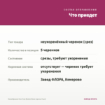 Калибрахоа Can-Can Rosies Rose (срезы 5 шт) — что приедет