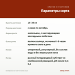 Калибрахоа Can-Can Terracotta (0,1л) — параметры сорта