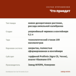 Калибрахоа Can-Can Terracotta (0,1л) — что приедет