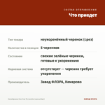 Калибрахоа Can-Can Terracotta (срезы/5шт) — что приедет