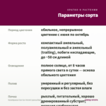 Калибрахоа Can Can Velvet (срезы/5шт) — параметры сорта