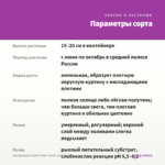 КАЛИБРАХОА CANDY SHOP CANDY CRUSH (0,1л) — параметры сорта