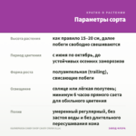 КАЛИБРАХОА CANDY SHOP CANDY CRUSH (0,1л) — параметры сорта