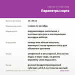 КАЛИБРАХОА CANDY SHOP CANDY CRUSH (срез/5шт) — параметры сорта