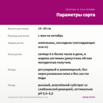 Калибрахоа Candy Shop Double Bubblegum (0,1л) — параметры сорта