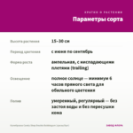Калибрахоа Candy Shop Double Bubblegum (срезы/5шт) — параметры сорта