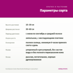 Калибрахоа Candy Shop Double Bubblegum (срезы/5шт) — параметры сорта
